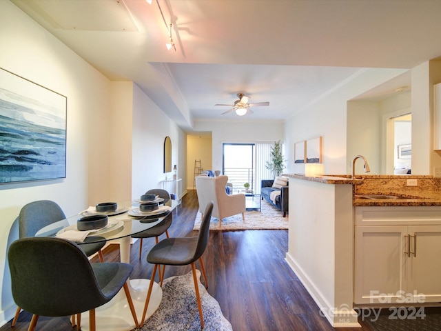 dining room with ceiling fan, sink, dark wood-type flooring, and track lighting