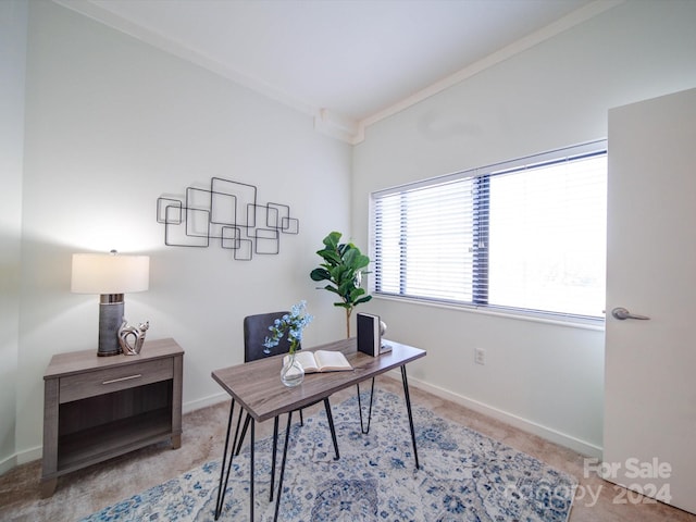 office with ornamental molding and light carpet