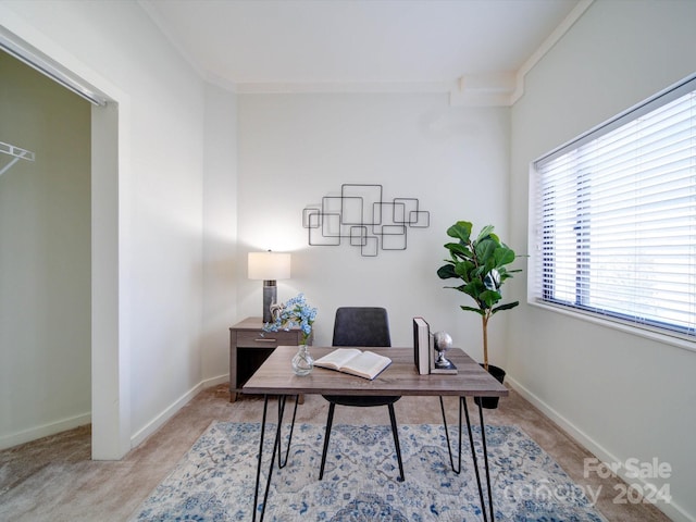 office featuring crown molding and light colored carpet