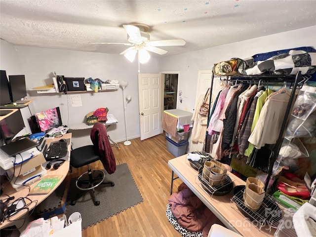 home office with ceiling fan, light hardwood / wood-style floors, and a textured ceiling