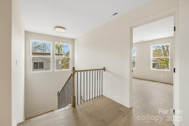 65 Bellevue Rd Unit 3, Asheville, NC 28803 - hall featuring an upstairs landing, plenty of natural light, wood finished floors, and baseboards