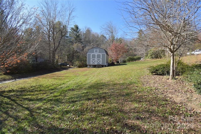 view of yard featuring a shed