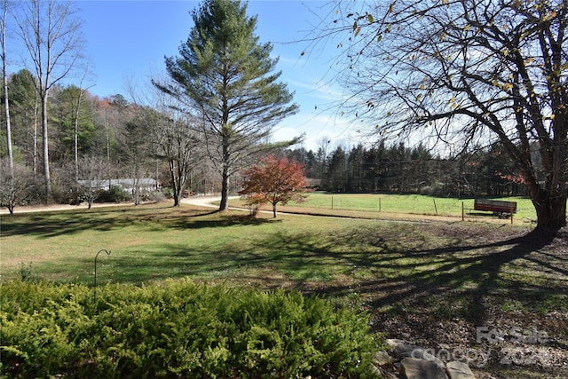 view of community featuring a yard