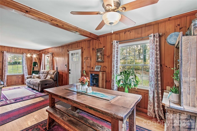 dining space featuring ceiling fan, wood walls, beamed ceiling, and light wood-type flooring