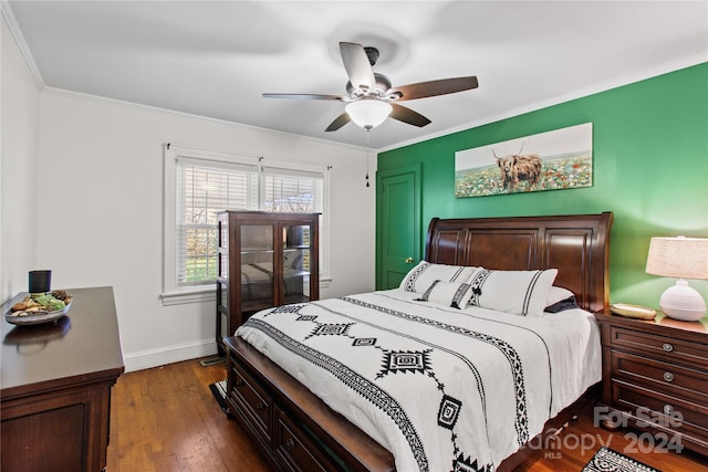 bedroom with dark hardwood / wood-style flooring, ceiling fan, and crown molding