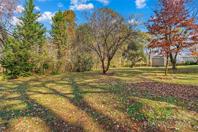 view of yard featuring a storage shed