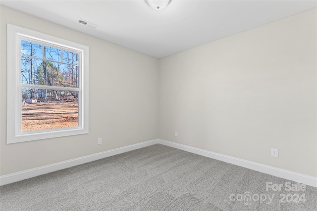 spare room featuring carpet flooring