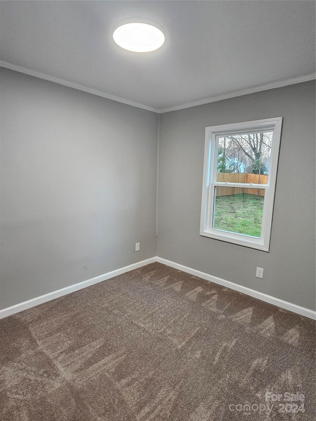 carpeted spare room featuring ornamental molding