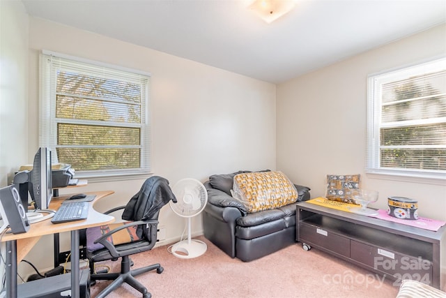 view of carpeted home office