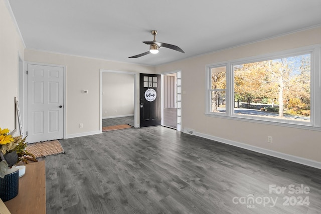 foyer featuring ornamental molding, ceiling fan, and dark wood-type flooring