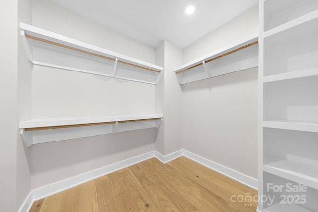 walk in closet with wood-type flooring