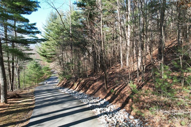 85 Flameleaf Ln, Hendersonville, NC 28739