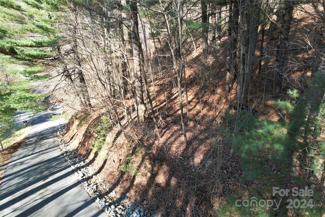 85 Flameleaf Ln, Hendersonville, NC 28739