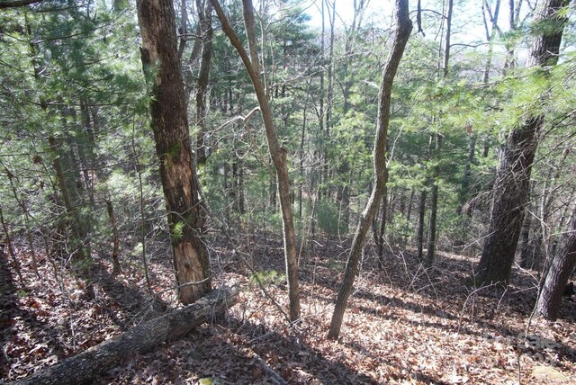 85 Flameleaf Ln, Hendersonville, NC 28739
