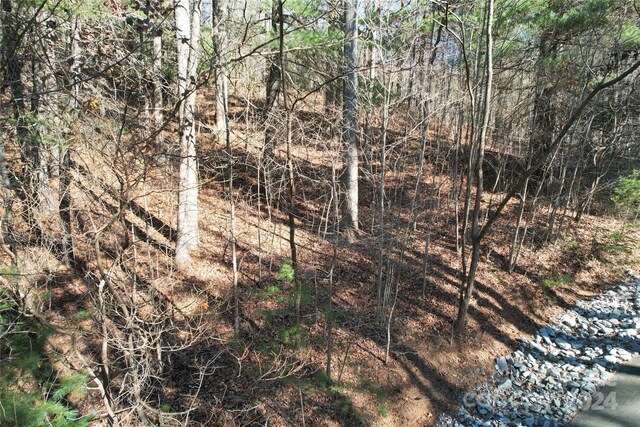 85 Flameleaf Ln, Hendersonville, NC 28739