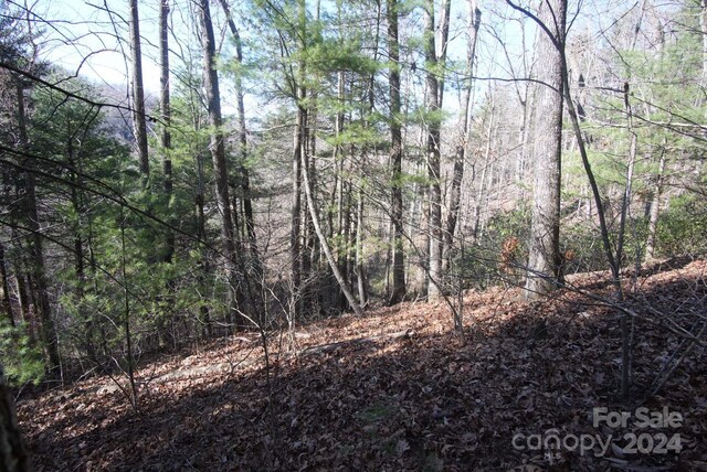 85 Flameleaf Ln, Hendersonville, NC 28739