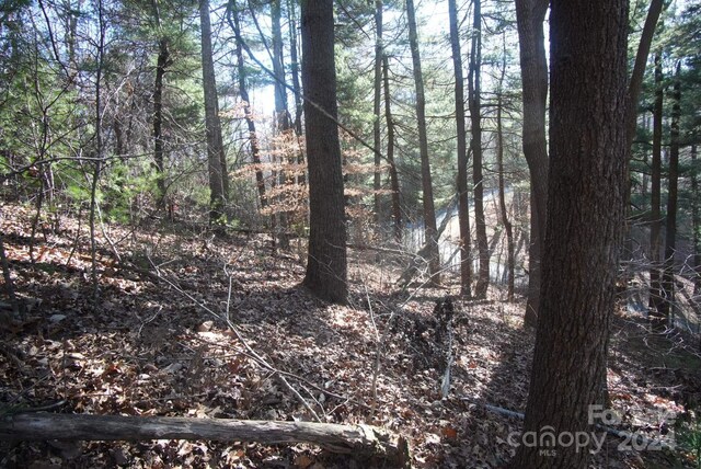 85 Flameleaf Ln, Hendersonville, NC 28739