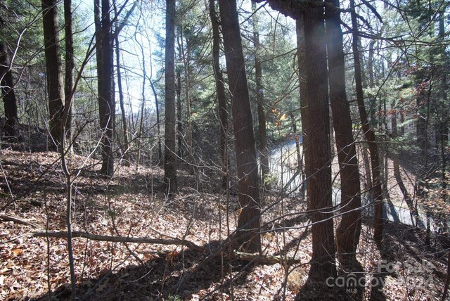85 Flameleaf Ln, Hendersonville, NC 28739