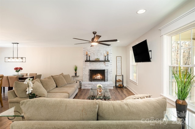 living room with a fireplace, ceiling fan with notable chandelier, and hardwood / wood-style flooring