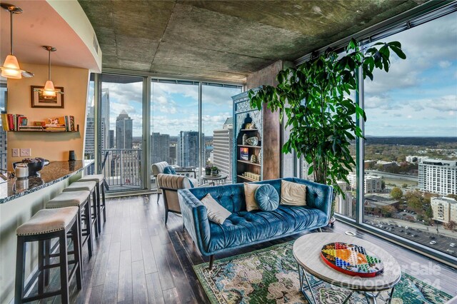 living room featuring expansive windows and dark wood-type flooring