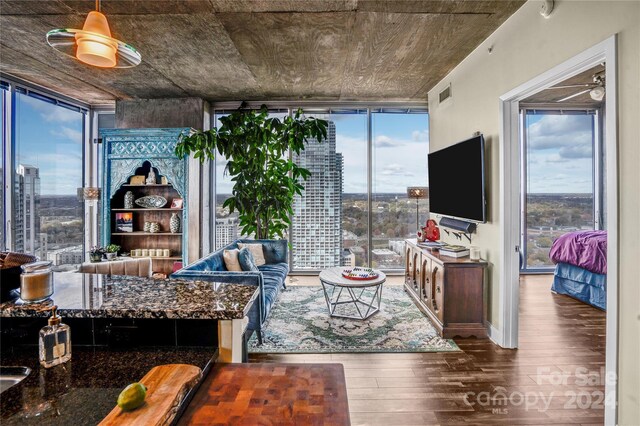 living room featuring floor to ceiling windows and wood-type flooring