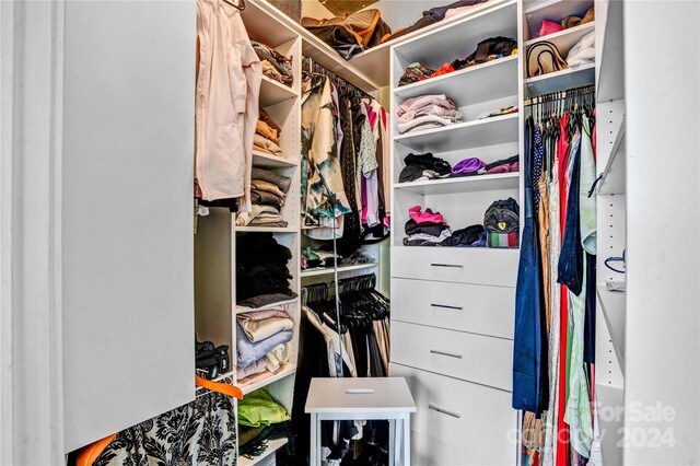 view of spacious closet