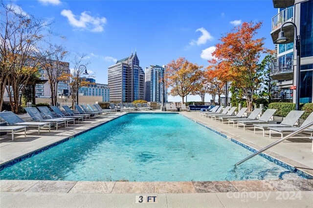 view of pool with a patio area