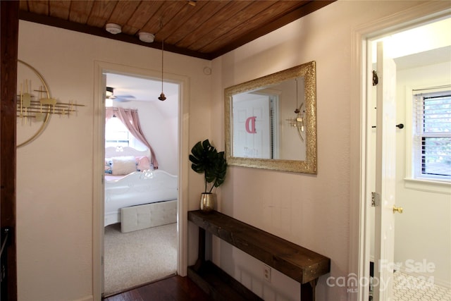 hallway featuring dark hardwood / wood-style flooring, plenty of natural light, and wood ceiling