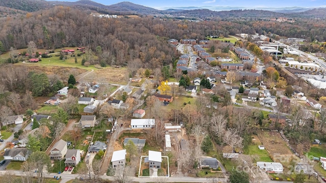 61 Bellevue Rd, Asheville, NC 28803 - photo 30