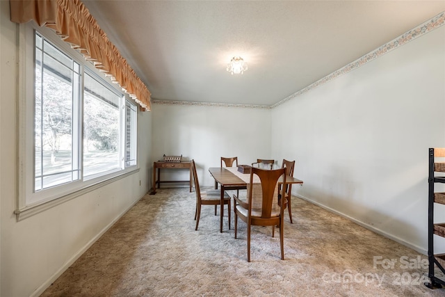 view of carpeted dining area