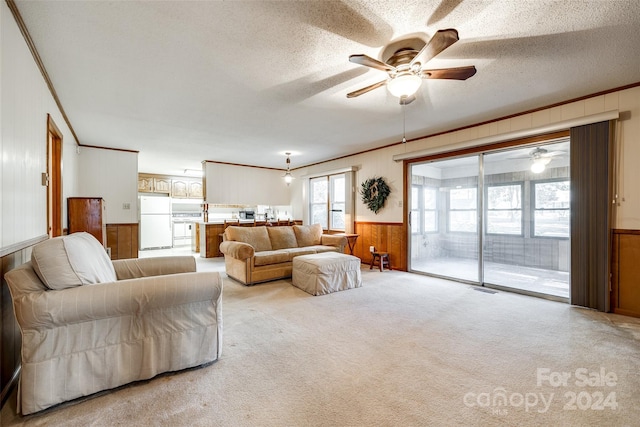 living room featuring light colored carpet and a textured ceiling