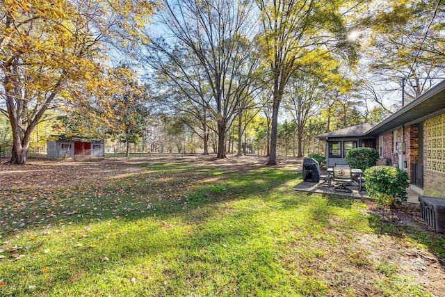 view of yard featuring a patio area and a shed