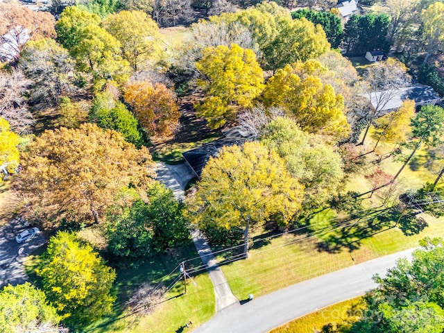 bird's eye view