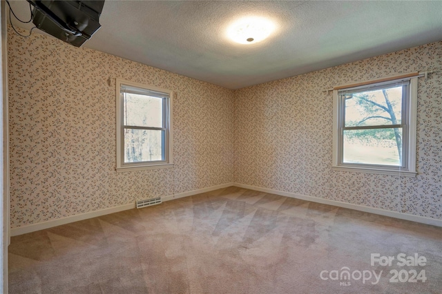 carpeted spare room with a textured ceiling