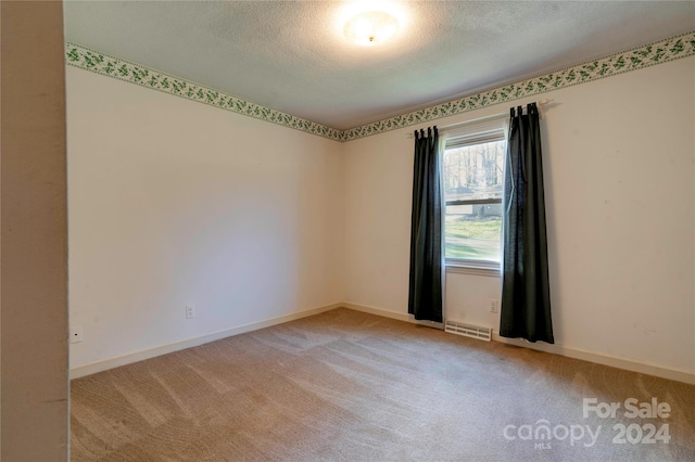 spare room featuring a textured ceiling and light colored carpet