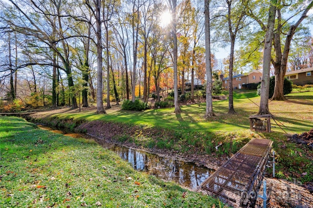 view of yard featuring a water view