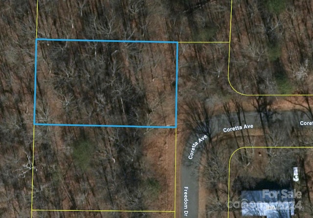 0.35AC Freedom Dr, Statesville, NC 28625 - photo 1