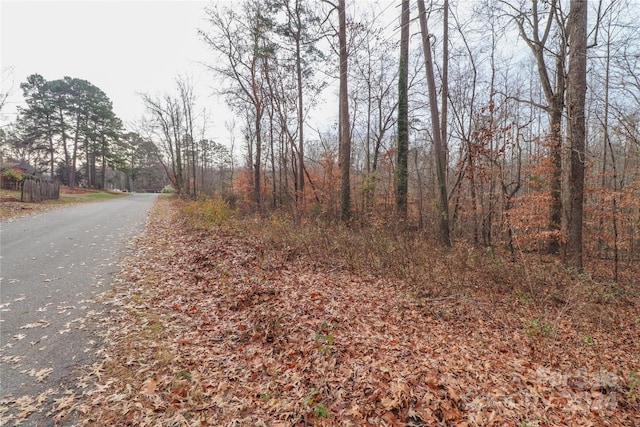 0.35AC Freedom Dr, Statesville, NC 28625 - photo 2