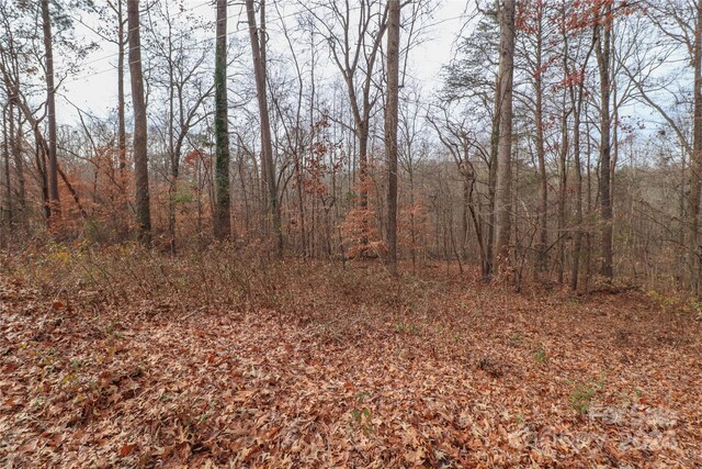 0.35AC Freedom Dr, Statesville, NC 28625 - photo 4