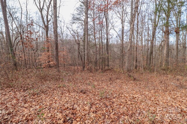 0.35AC Freedom Dr, Statesville, NC 28625 - photo 5