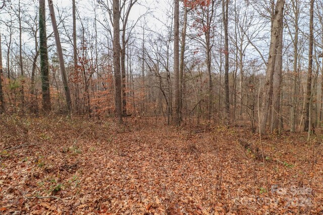 0.35AC Freedom Dr, Statesville, NC 28625 - photo 6
