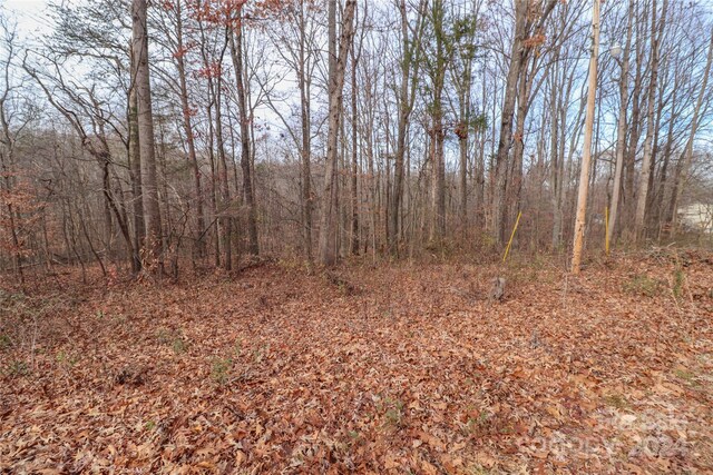 0.35AC Freedom Dr, Statesville, NC 28625 - photo 7