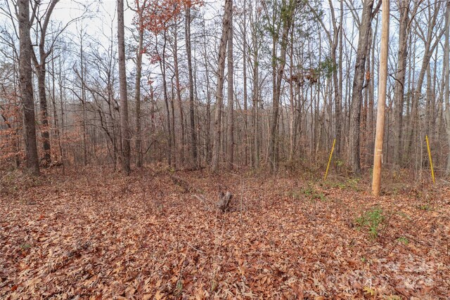 0.35AC Freedom Dr, Statesville, NC 28625 - photo 8