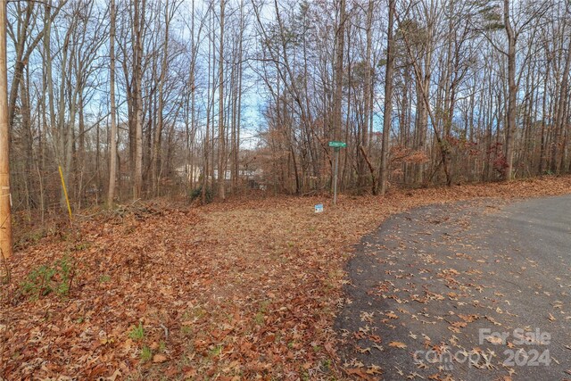 0.35AC Freedom Dr, Statesville, NC 28625 - photo 9