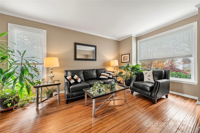 living room featuring light wood-type flooring and crown molding