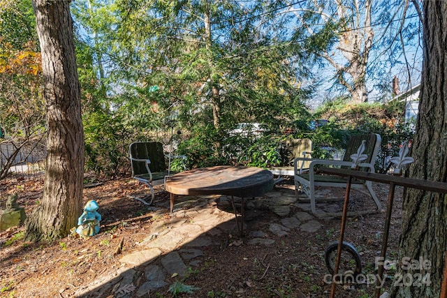 view of yard featuring a patio