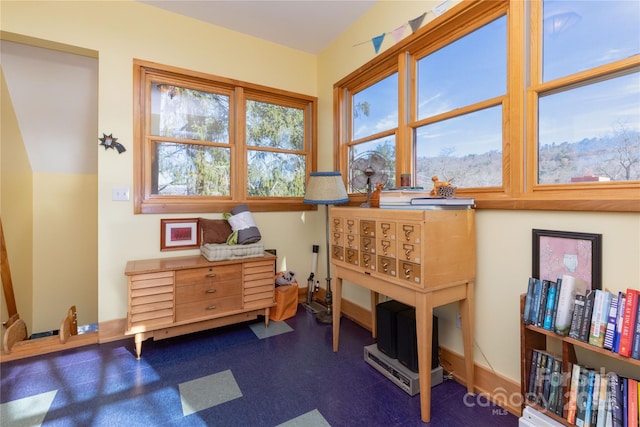 297 Hillside St, Asheville, NC 28801 - photo 19