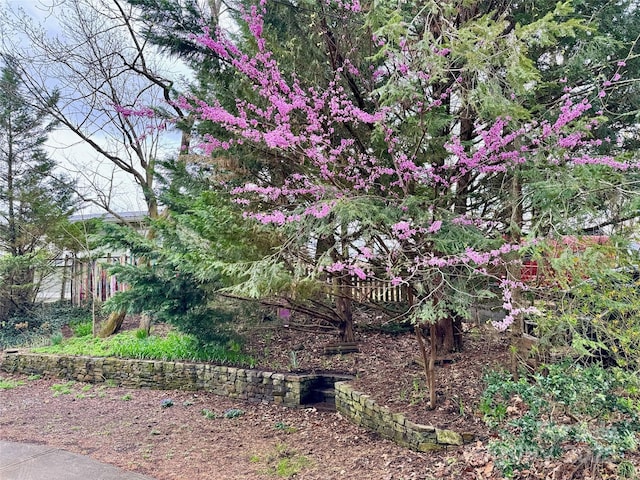 297 Hillside St, Asheville, NC 28801 - photo 39