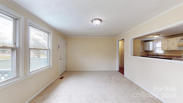 carpeted spare room with a wealth of natural light, sink, a textured ceiling, and ornamental molding