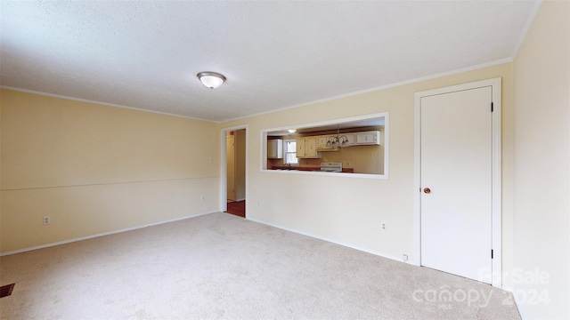 empty room featuring carpet flooring and crown molding